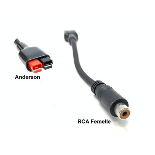 Adaptateur de charge Anderson vers RCA Femelle