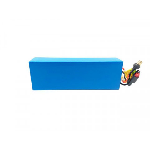 Batterie Lithium 12V 31Ah 454Wh PVC