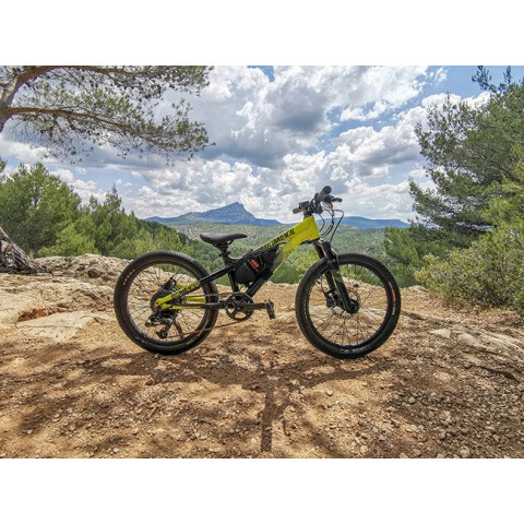 Saddle bag for 36V battery