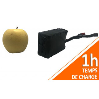 Batterie PVC 12V 3Ah 36Wh