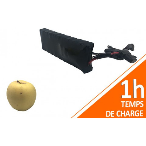 Batterie PVC 12V 3Ah 36Wh