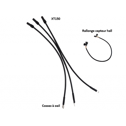 Cable moteur KELLY avec connecteur XT150