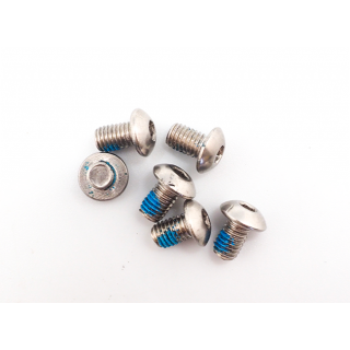  Disc screw for motor