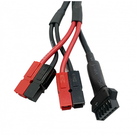 Dual shunt pour cycle analyst