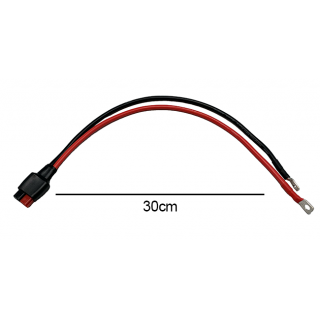 Rallonge Anderson vers cosse à oeil M6