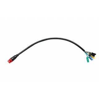 Adaptateur câble moteur Anderson JST vers Julet 11 voies femelle