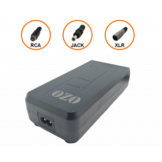 Chargeur 36V 2A pour batteries Lithium avec connecteur Jack