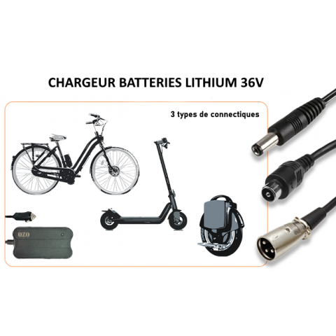 Chargeur 12V 36V RCA USB