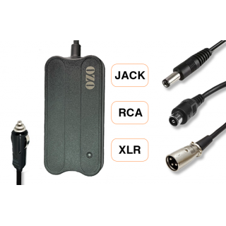 Chargeur 12V 36V RCA USB