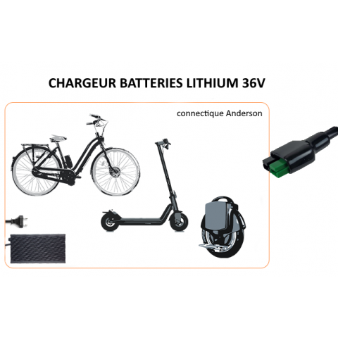 LiFePO4 16s 48V 4A Charger
