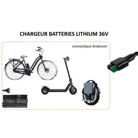 Chargeur batterie LIMN, LiPO 48V 10A