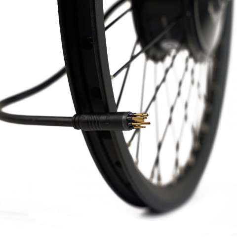 Kit Brompton 250W batterie gourde 36V