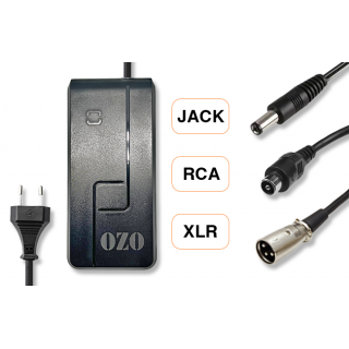 Charger 36V 2A 4A XLR JACK RCA