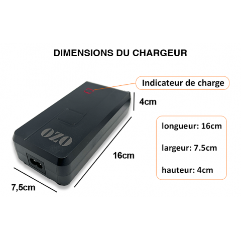 Chargeur Batterie Lithium 36V 2A 4A RCA XLR Jack 