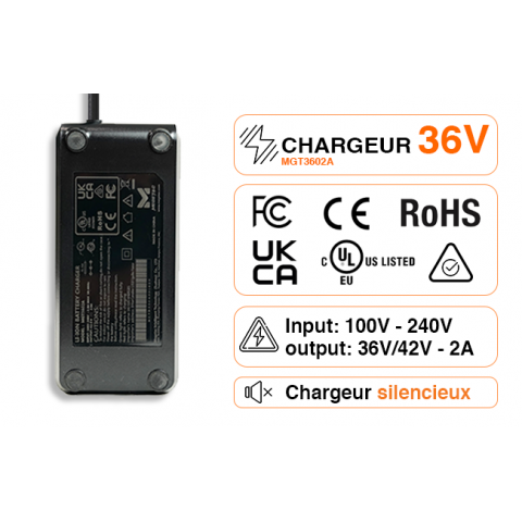 Charger 36V 2A 4A XLR JACK RCA