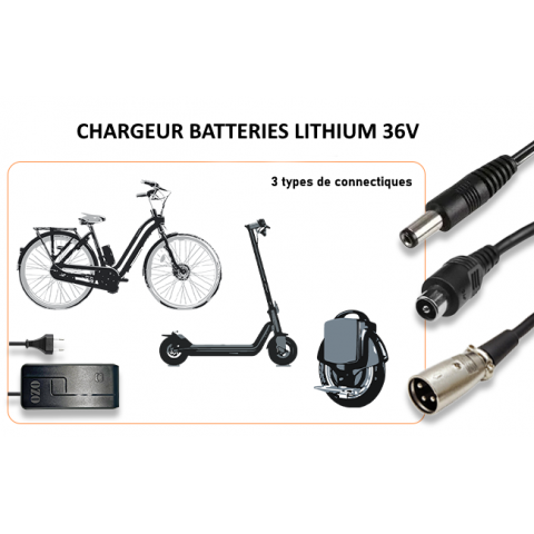 Charger 36V 2A 4A XLR JACK RCA