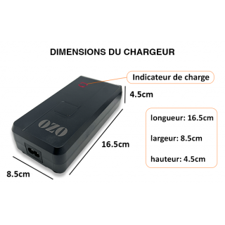 Chargeur OZO Batterie Lithium 48V 2A 4A et 5A