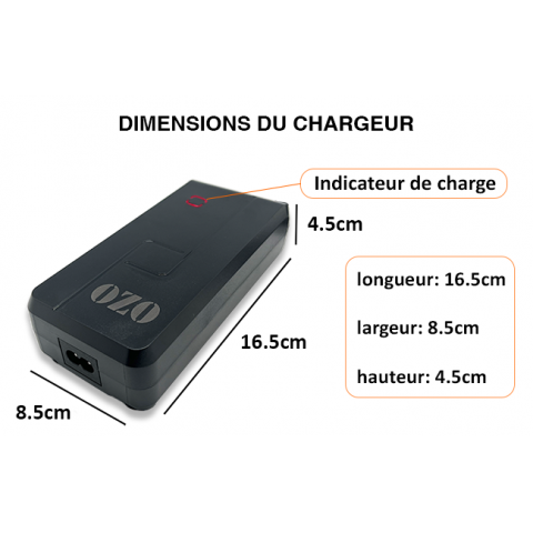 Chargeur OZO Batterie Lithium 48V 2A 4A et 5A