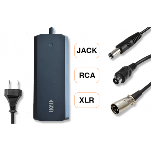 Chargeur Batterie Lithium 36V 2A 4A RCA XLR Jack 
