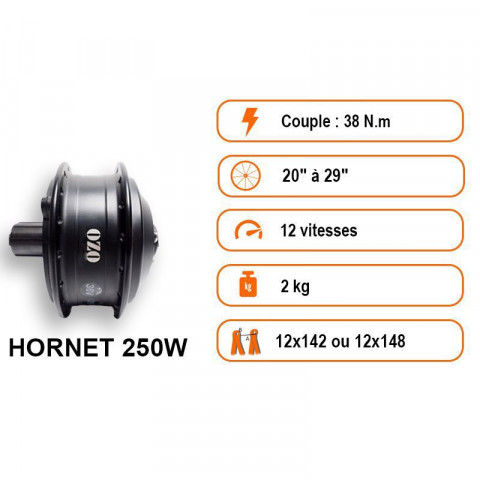 Touring 250W rear wheel kit with frame battery 36V 250Wh to 700Wh