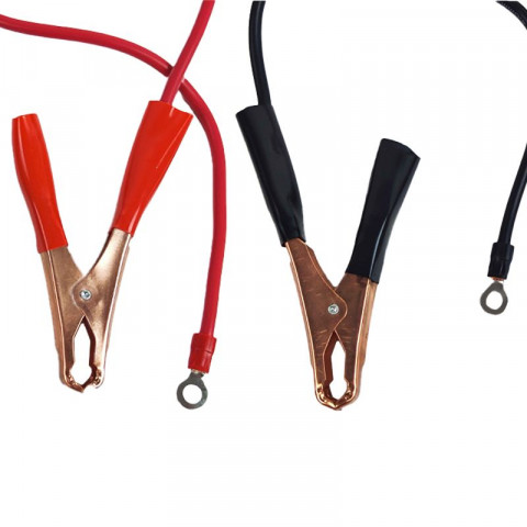 Convertisseur victron 500W