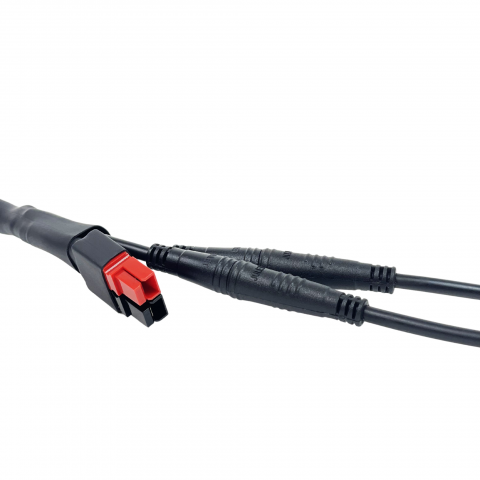 Adaptateur éclairage Anderson vers 2 JULET Mâle Z209AG