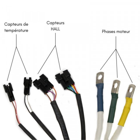 Moteur roue moyeu électrique 3000W 200Nm